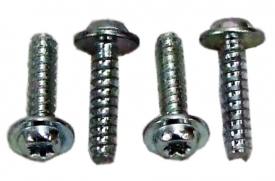 Raised head screw 4 Pack TORX T20