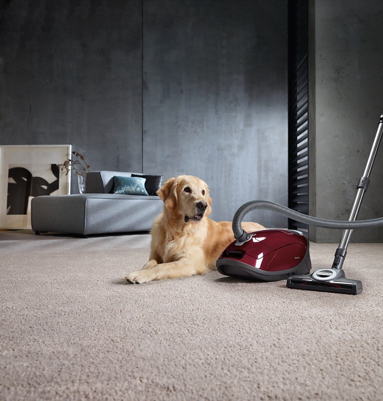 Miele Cat + Dog C3 Vacuum